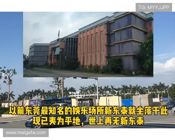 新东泰网上娱乐多平台安全可靠，享受高品质线上娱乐体验