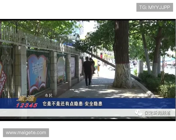 欧博代理官网安全保障措施，保障代理商权益的全面解决方案